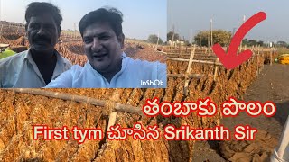 తంబాకు పొలం లో First tym…..Srikanth sir తో Farmer Srinivas garu