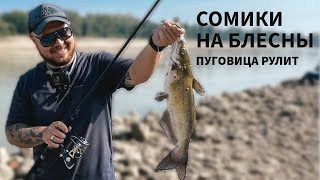 Канальный сом на блесну. Рыбалка на реке Кубань. Тест Jumprize All Wake 98 Monster Finesse Limited