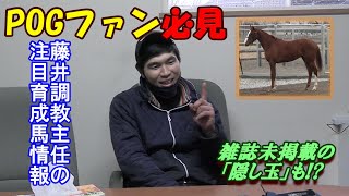 POGファン必見！三嶋牧場注目育成２歳馬情報