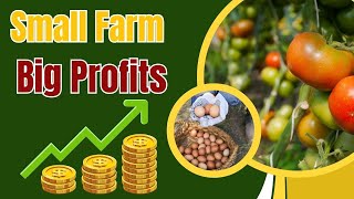 7 Tips to Maximize Profits on Your Small Farm