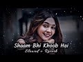 Sham Bhi Khoob Hai [Slowed Reverb] Udit Narayan, Kumar Sanu Alka Yagnik #lofi #lofisong #90s #song