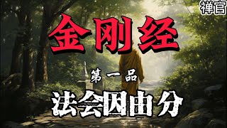 金刚经解读【第一品】：法会因由分【禅官】