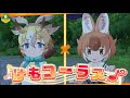 【フレンズ雑談】メインストーリs2第一章【けものフレンズ３】初見歓迎【kemono friends】