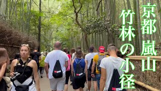 2023年9月28日 観光客で賑わう京都嵐山竹林の小径を歩く Walking along the path of the Kyoto Bamboo Forest 【4K】