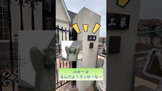 島根県から鳥取県への旅　工藤新一宅のインターホンを押す