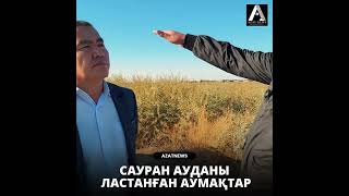 Сауран ауданы ластанған аумақтар