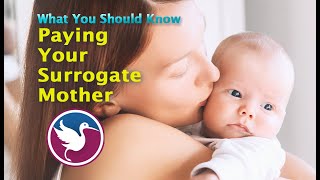 QUICK LOOK: Paying Your Surrogate Mother