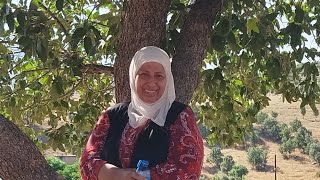 إذا متدخلون وتشوفون الفديوا راح يفوتكم/ اجمل عشرة أماكن في محافظة دهوك ذات المناظر الطبيعيه الساحره