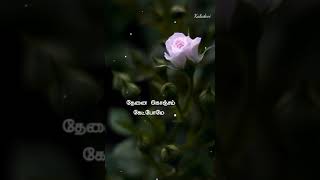 Rojakale ll Priyamana Thozhi ll Tamil Whatsapp Status Video
