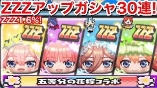 ZZZ 1.6%！五等分の花嫁 コラボガシャ 30連！無課金 Uz 形見のピアス 誰にする？誰選ぶ？五姉妹オススメは？【妖怪ウォッチぷにぷに】一花 二乃 三玖 四葉 五月 合成 消えるよ注 五つ子