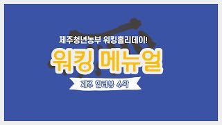 한라봉 수확 어떻게해요? 걱정하지 마세요!