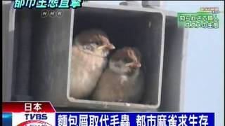 十點不一樣 - ''都市麻雀生存記'' (2011-03-01, TVBS新聞台).mpeg