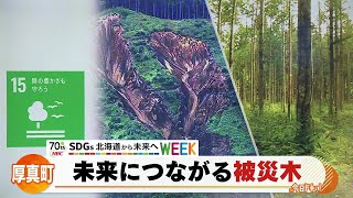 ＳＤＧｓ北海道から未来へWEEK①「未来につながる被災木」2021年11月29日放送