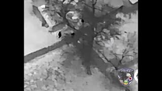 WATCH: Drone video shows area officers arrest registered sex offender | WHIO-TV