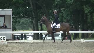 2017年北日本学生馬術大会 総合馬術競技 馬場馬術競技 16番 4年目×ムゲン号