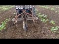 mahindra jivo 225 with seed drill performance.