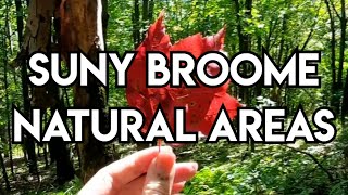 SUNY Broome Natural Areas - Binghamton, NY 🌿 #hiking #nature #vlogs
