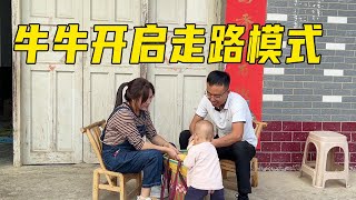 牛牛开启了走路模式，九根两夫妻感慨颇多，感恩遇到的每一位朋友【土家九根】