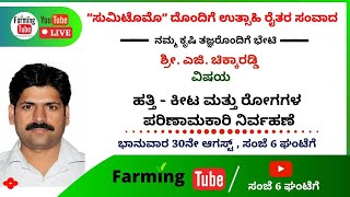 ಹತ್ತಿ - ಕೀಟ ಮತ್ತು ರೋಗಗಳ ಪರಿಣಾಮಕಾರಿ ನಿರ್ವಹಣೆ | ಶ್ರೀ. ಎಜಿ. ಚಿಕ್ಕಾರಡ್ಡಿ