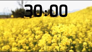 30 MINUTE SPRING TIMER: Countdown Timer with Music