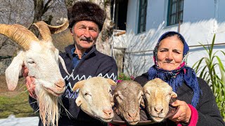 VERY TASTY AND HEALTHY GOAT SOUP! BEST RECIPE VILLAGE KHASH