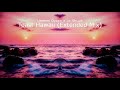 Ummet Ozcan x Le Shuuk - Toast Hawaii (Extended Mix)