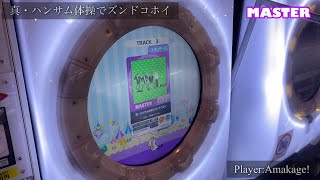 【maimaiでらっくす】真・ハンサム体操でズンドコホイ スタンダード譜面 MASTER ALL PERFECT 【直撮り】