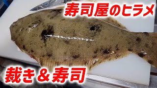 【ヒラメ 寿司】天然活ヒラメの仕入れから神経締め、さばき、熟成から最高の刺身・寿司ができるまでの日本の板前さんの映像でのご紹介