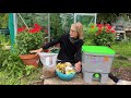 bokashi composting how to bokashi composting uk using bokashi bin