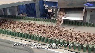 9~12 ton hour biomass pellet production line in Yunnan Province Of China