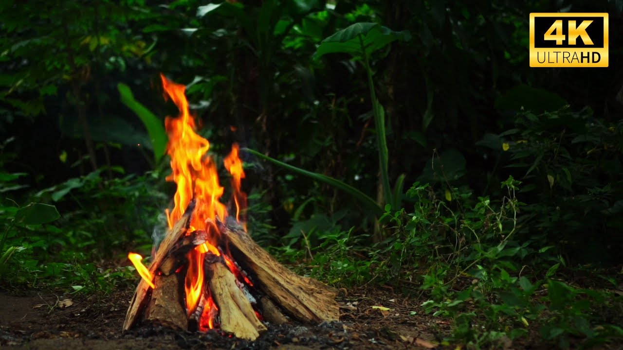 рџ ґ Cozy Forest Campfire 4k Ultra Hd Natural Ambiance Crackling Fire
