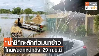 “น้ำชี” ทะลักท่วมนาข้าว ไทยฝนตกหนักถึง 29 ก.ย.นี้ l TNN ข่าวเช้า l 28-09-2023