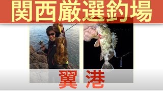 【釣り場情報】 関西の海釣り 淡路島 翼港 魚種も豊富 メバル・アジ・アオリイカがおすすめ！！足場もよくトイレ有り ファミリーにおすすめ！！