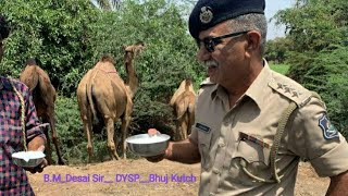 B M Desai Sir Ex DYSP  #shortvideo #smrabari #morila #3d #yutubeshorts #rabari #viralvideo ##video