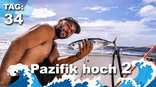 Pazifik hoch 2 - Kreislaufkollaps und Hochseesegeln | Tag 34