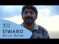 Siwaro - Birca Belek