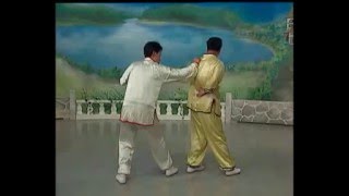 Arm lock. Kung Fu.Chin Na Tiger Style 1 洪家 擒拿