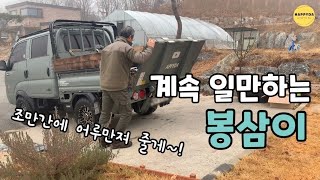 도끼로 장작 잘 쪼개는 방법은? 나무 가운데를 내려치면 안됩니다! [전원생활Vlog]