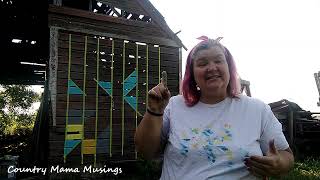 Barn Quilt ~ Week 1