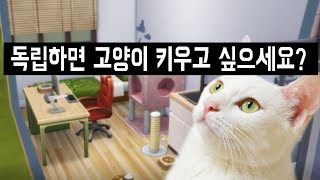 원룸에서 고양이를 잘 키울 수 있을까? (힘든 이유, 최소 면적, 2마리? 냄새?)