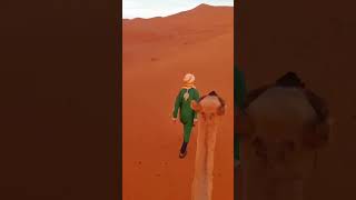 desert Morocco 🇲🇦 #short #shorts #live #youtubeshorts #love #youtubeshort #like #games #game