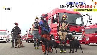 災害救助犬を活用 消防や災害派遣医療チーム「DMAT」と合同訓練 【佐賀県】 (23/01/19 18:12)