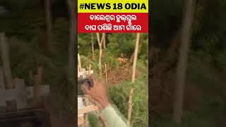 ବାଲେଶ୍ବର ହୁଲସ୍ତୁଲ: ବାଘ ପଶିଛି ଏଇ ଗାଁରେ... | Tiger | Balasore | Village | Forest | Leopard | Cheetah