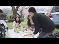 peb mus zaum noj mov thiab saib paj sakura tawg fuji cemetery cherry blossoms full mv