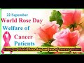 10 Lines on World Rose Day Welfare of Cancer Patients/World Rose Day Welfare of Cancer Patients