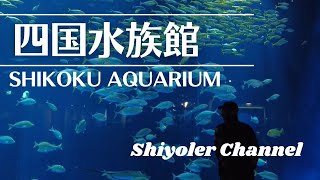 Shikoku Aquarium | Feed penguins, sea lions, busy otters, table-top fish and more.Japan Trip Shikoku