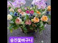 승진 영전축하선물 행복을 전해드리는 선물 꽃 꽃바구니 호접난 flowers 승진축하 노 노래하는꽃사장 홍은주꽃예술원