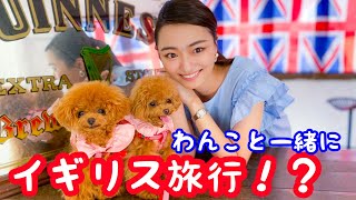 【愛犬とイギリス】わんこと一緒に海外旅行！？🇬🇧【マシェたんジルたん】