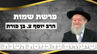 פרשת ויחי - שיעורים עד כניסת השבת | הרב יוסף צ. בן פורת - שידור חי!