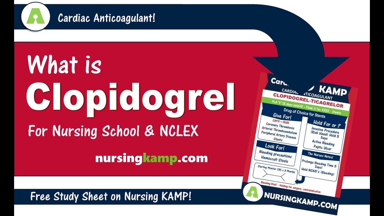 What Is Clopidogrel PLavix Nursing KAMP's Scribble Notes Cardiac ...